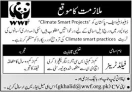 WWF Pakistan Bahawalpur Jobs 2024