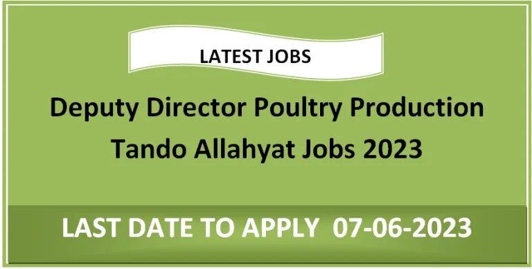 Deputy Director Poultry Production Tando Allahyat Jobs 2023