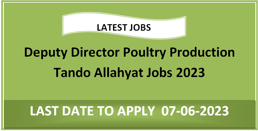 Deputy Director Poultry Production Tando Allahyat