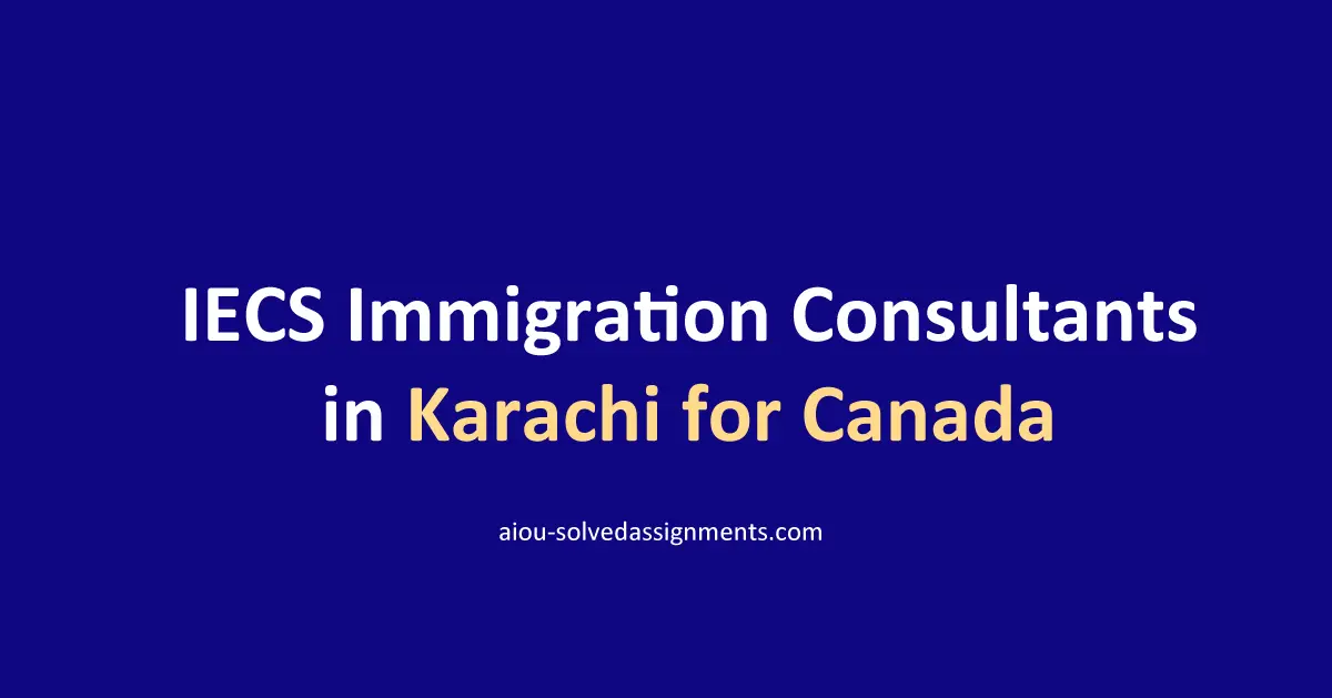 IECS Immigration Consultant in Karachi for Jobs